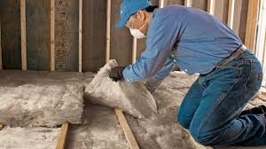 Best Insulation Removal  in Lakehurst, NJ